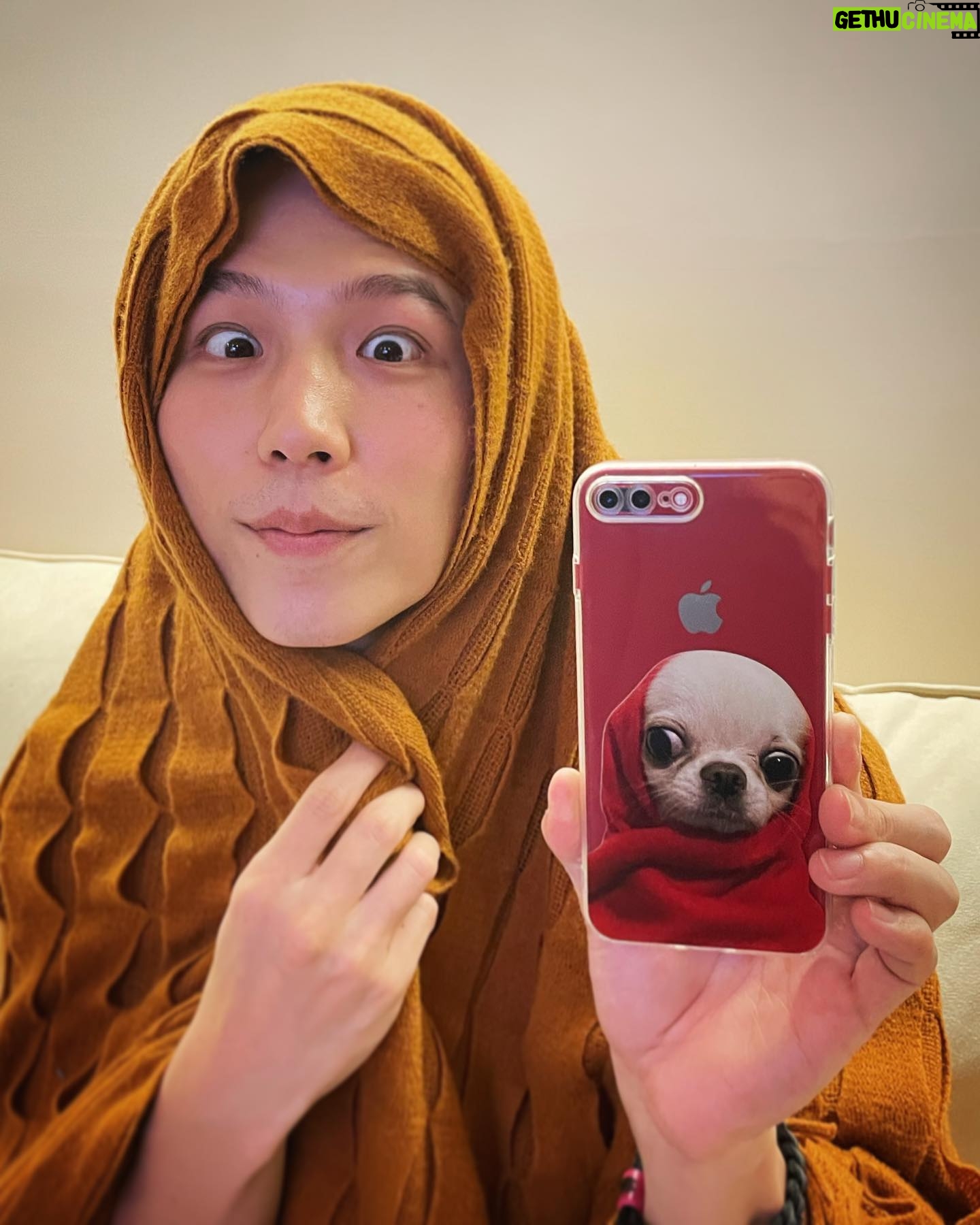 Lin Yu - 6.3K Likes - -
祝大家兒童節快樂❤️🔥
不論是真的兒童
還是像我這種「資深」兒童
希望大家都能開開心心
買了一個小禮物給自己
太可愛了 好喜歡!!!
#兒童節
#吉娃娃
#cosplay