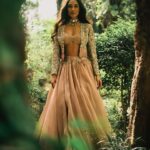 Lisa Haydon