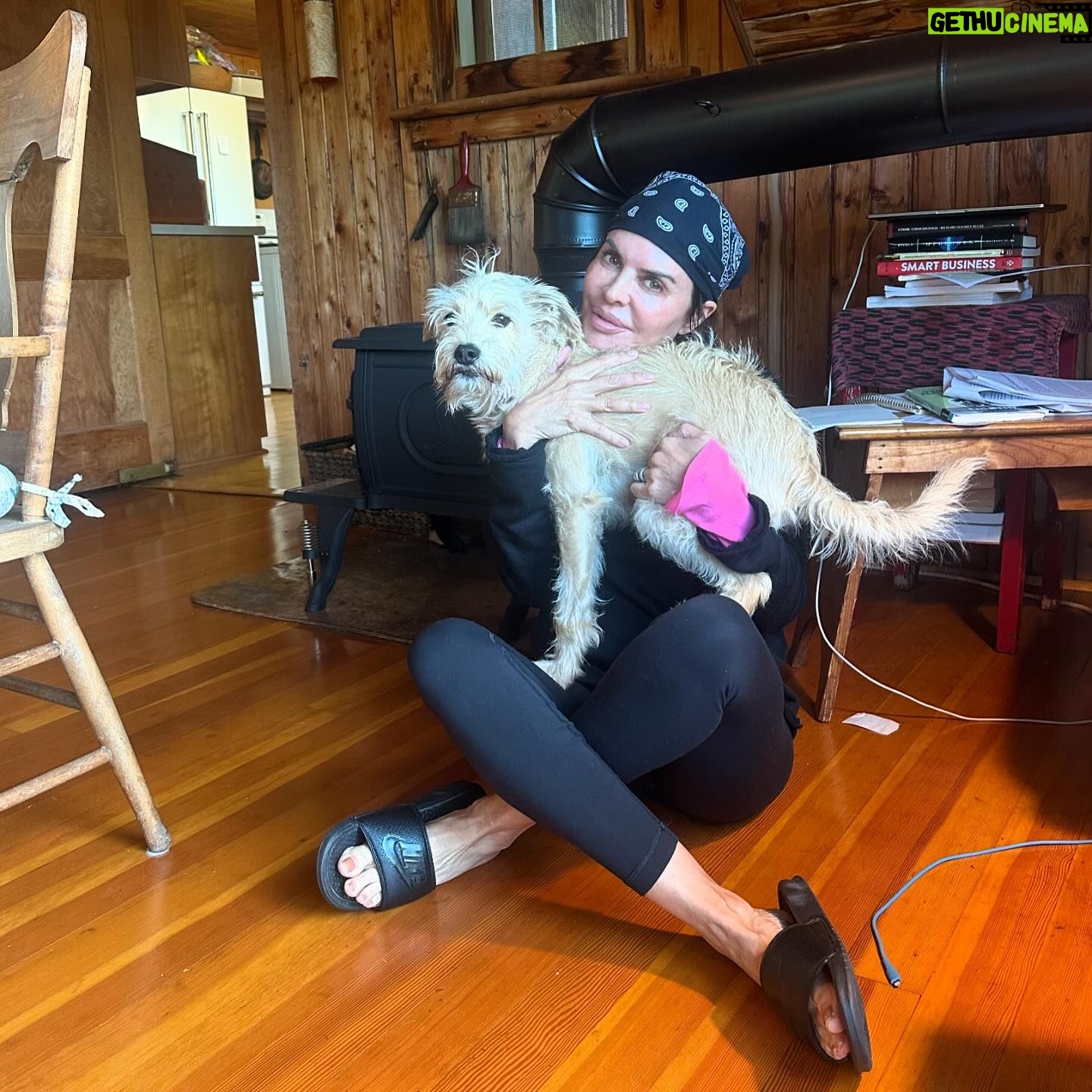 Lisa Rinna - 38.5K Likes - Twas the Summer of Poncho! ❤️🐶🚤❣️👙⚓️☀️🥧😍