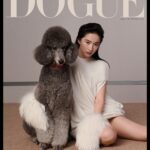 Liu Yifei