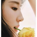 Liu Yifei