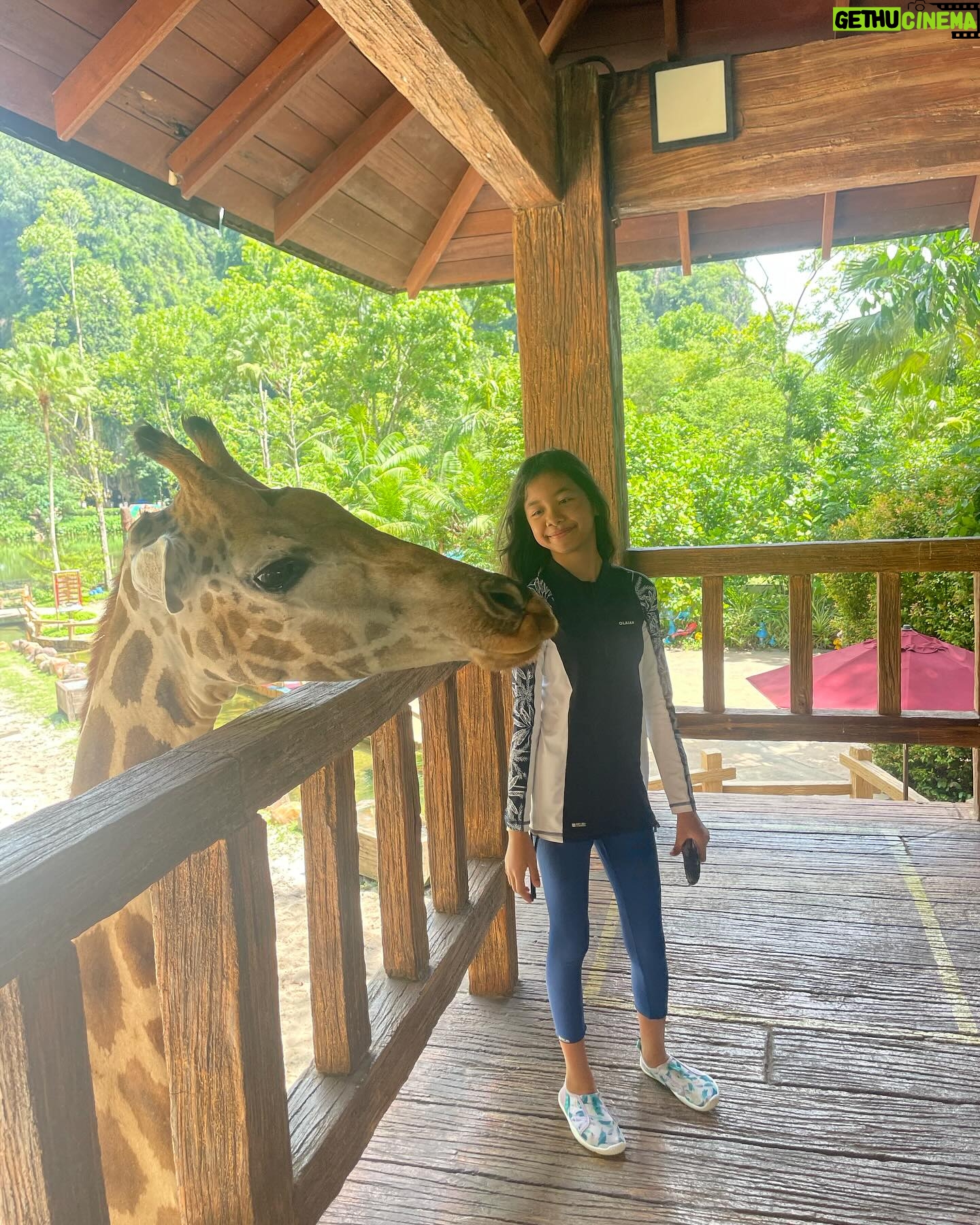 Liyana Jasmay - 1.2K Likes - Happy cara kita 🫶🏻
@sunwaylostworldoftambun
#awesomemoments
#sunwaylostworldoftambun