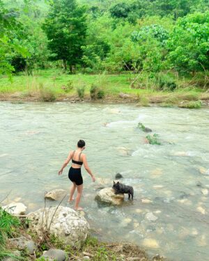 Loisa Andalio Instagram - 🍃⛰️☀️🐶❤️‍🔥☁️✨