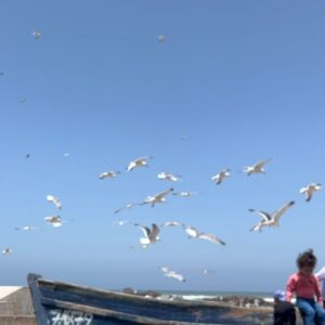 Lola Le Lann Instagram - ESSAOUIRA 💙🩵🤍

1. Villa Beldi
2. Taxi Diabat
3. 🐟 
4. Baby Msemmen  
5. Joutia 
6. Mon 1e tapis
7. 🐦 en émeute