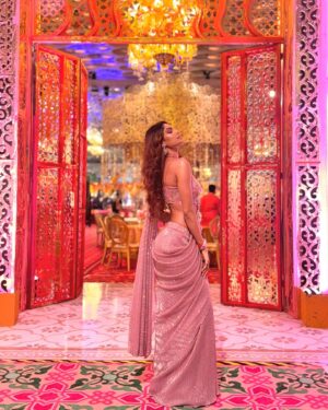 Lopamudra Raut Instagram - Day 2 .. #anantambani #arwedding #ambaniwedding #narendramodi #radhikamerchant
