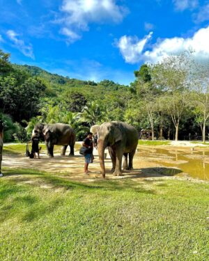 Lopamudra Raut Instagram - Found my dumbo 🐘✨ he Said “Hi !” #elephant #sanctuary #happykid