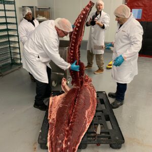 Louis-François Marcotte Instagram - Thon de la Gaspésie plus de 500lbs... petite découpe ce am avec fiston 😁👌
@_lacage