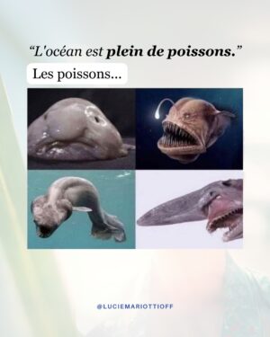 Lucie Mariotti Instagram - Je suis sûre que vous en avez assez d’entendre les conseils amoureux “tout pourris” qu'on ne manque pas de vous donnez même si vous n'avez rien demandé ! 🙉

Je sais aussi que vous voulez vraiment trouver l'amour, le vrai. Mais parfois, pour atteindre nos objectifs, nous avons besoin de soutien, et c'est OK. Vous connaissez sans doute l'adage : "Seul, on va plus vite ; ensemble, on va plus loin." ❣️

Alors si vous recherchez de vrais conseils, des coachings collectifs en direct avec moi, un accompagnement complet et à  vie, profond et joyeux, porté par la sonorité d'une merveilleuse communauté de femmes, le programme “Trouver l'amour, avec Lucie” est fait pour vous :🫶

- Un accompagnement inédit et complet créé par la femme que je suis, pour la femme que vous êtes...

- Un voyage intérieur profond, jalonné d'apprentissages concrets et pratiques. 

- 7 Semaines d'exercices de coachings intenses et bienveillants pour vous accompagner sur le chemin de l'Amour vers la rencontre de votre vie ! (vous pouvez le faire sur la durée que vous voulez)

- Des coachings collectifs en live et en visio pour évoluer toutes ensemble

- Une communauté de femmes, portées par le même élan, dans le cercle vertueux de l'amour qui partagent et se soutiennent sur un forum dédié

Cliquez sur le lien dans ma bio pour le découvrir. 👍

Avec foi en amour, 
Lucie

#lovecoach #coachdevie #devperso #relations #amour #rencontres #holistique #authentique #soinsenergetiques #lovecoaching #soinsénergétiques #podcastfrance #devpersonnel #dependanceaffective #relationtoxique