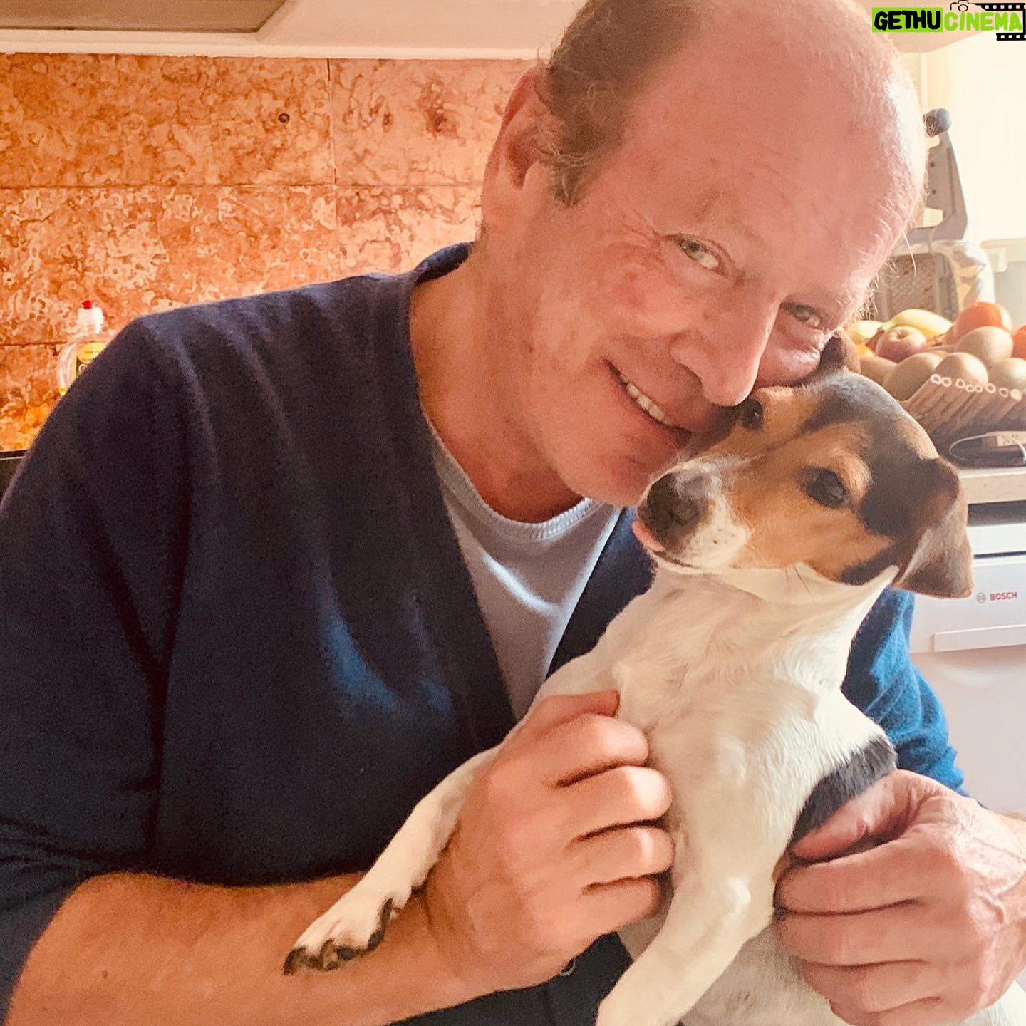 Luís Esparteiro - 2.7K Likes - Amor incondicional e sempre disponível. #familia #jackrussell #pipoca