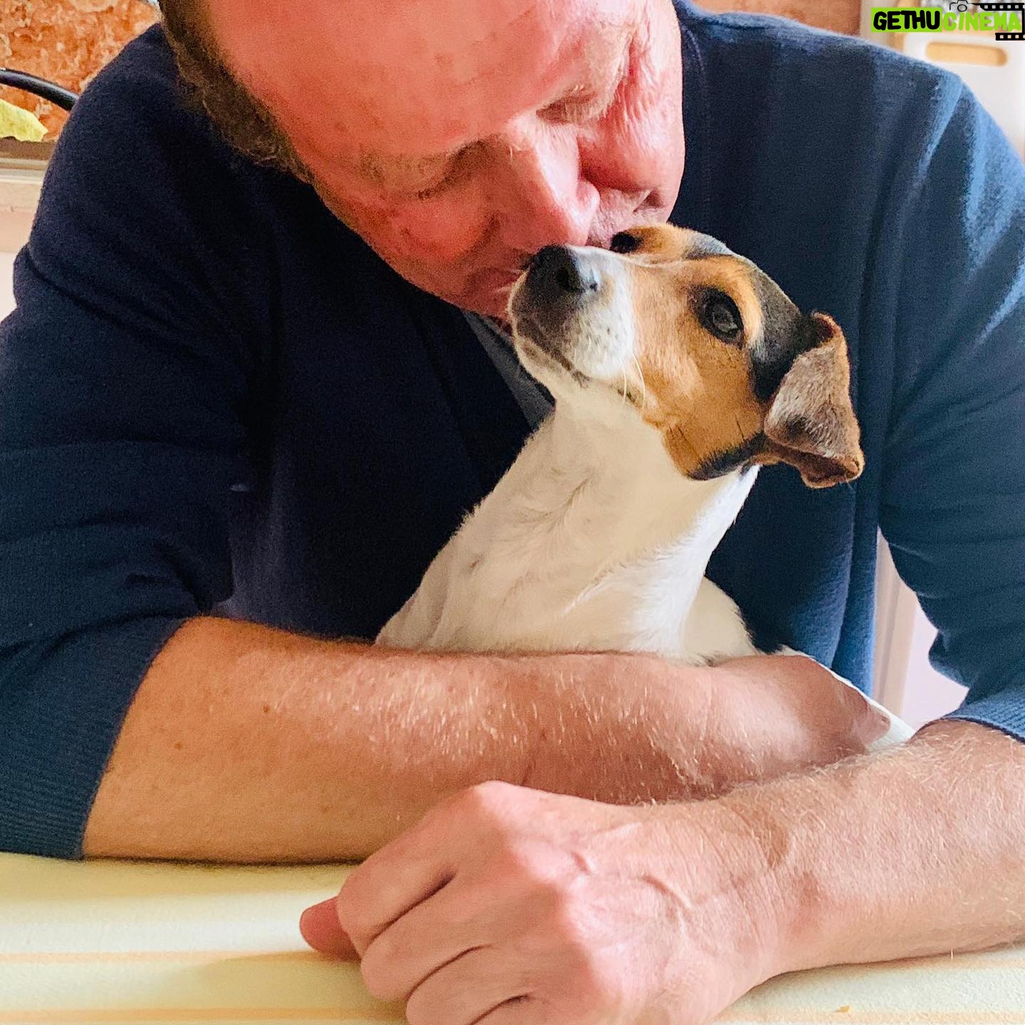 Luís Esparteiro - 2.7K Likes - Amor incondicional e sempre disponível. #familia #jackrussell #pipoca