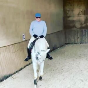 Luís Esparteiro Instagram - Não há vida como a do campo! #malhadinhanova #alentejo