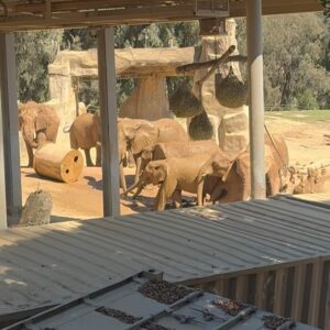 Lukas Gage Instagram - we bought a zoo @sdzsafaripark @sandiegozoo 🐘