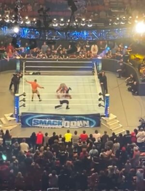 Luke Menzies Instagram - Steady double…..#brawlingbrutes #fightnight #smackdown