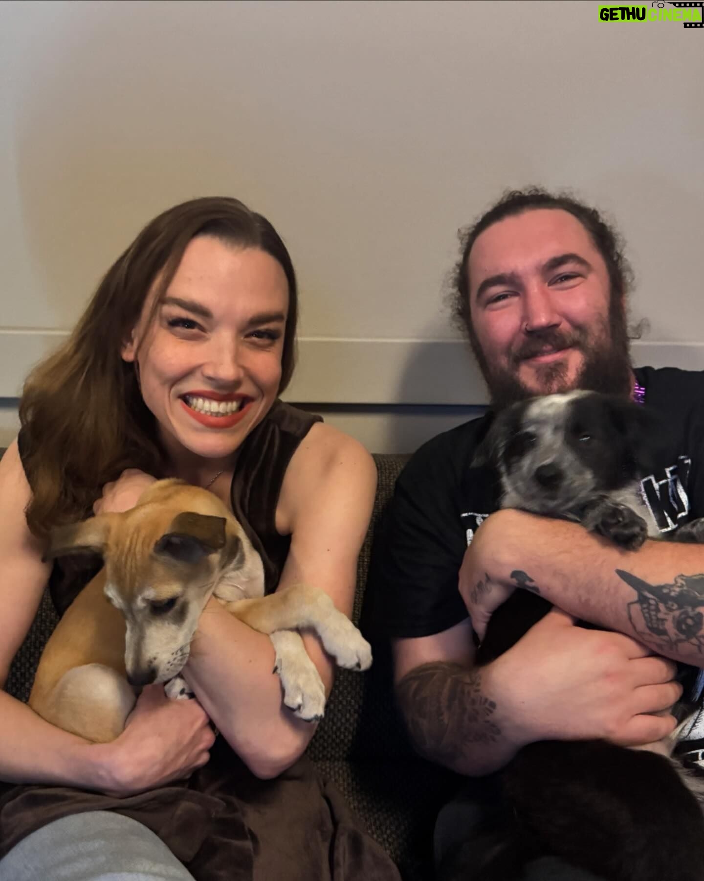 Lzzy Hale - 21.9K Likes - Met the best pups yesterday from @operationpetsalive ! This is Sakura! She beelined toward me and stayed in my arms until I got called away to meet n greet… I wanted yo take her with me, but our pirate ship is no place for a lady like Sakura. I hope she finds a forever home very soon. Thank you to the women of @operationpetsalive for letting us spend some social time with the pups!!