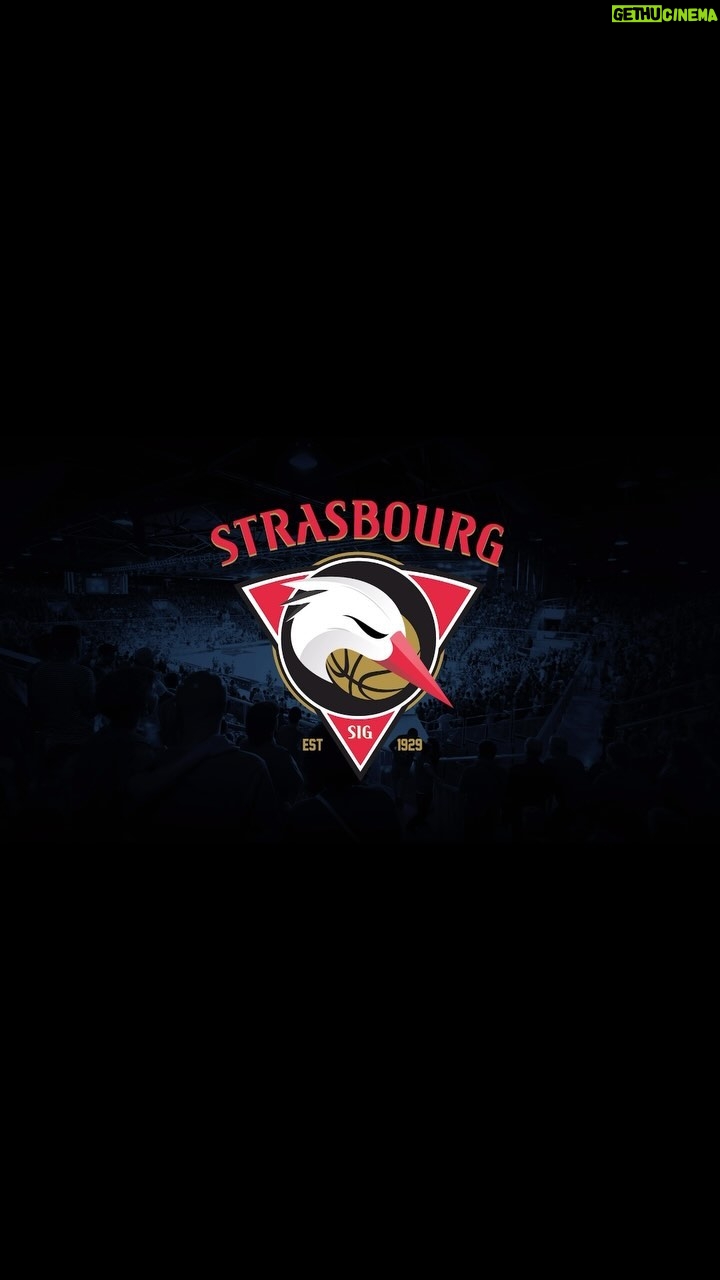 M. Pokora - 3 Likes - Bienvenue dans une nouvelle ère.
Fiers de vous présenter notre nouveau logo.
@sigstrasbourg LET’S GOOOOOO!!! 🏀