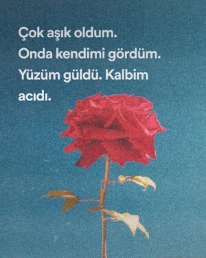 Mabel Matiz Instagram - Fatihimmmm! ❤️✨ 1 yaşında!
