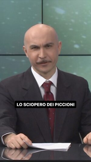 Maccio Capatonda Instagram - Un’intervista incalzante 🐦
#MarioUnaSerieDiMaccioCapatonda #MaccioCapatonda