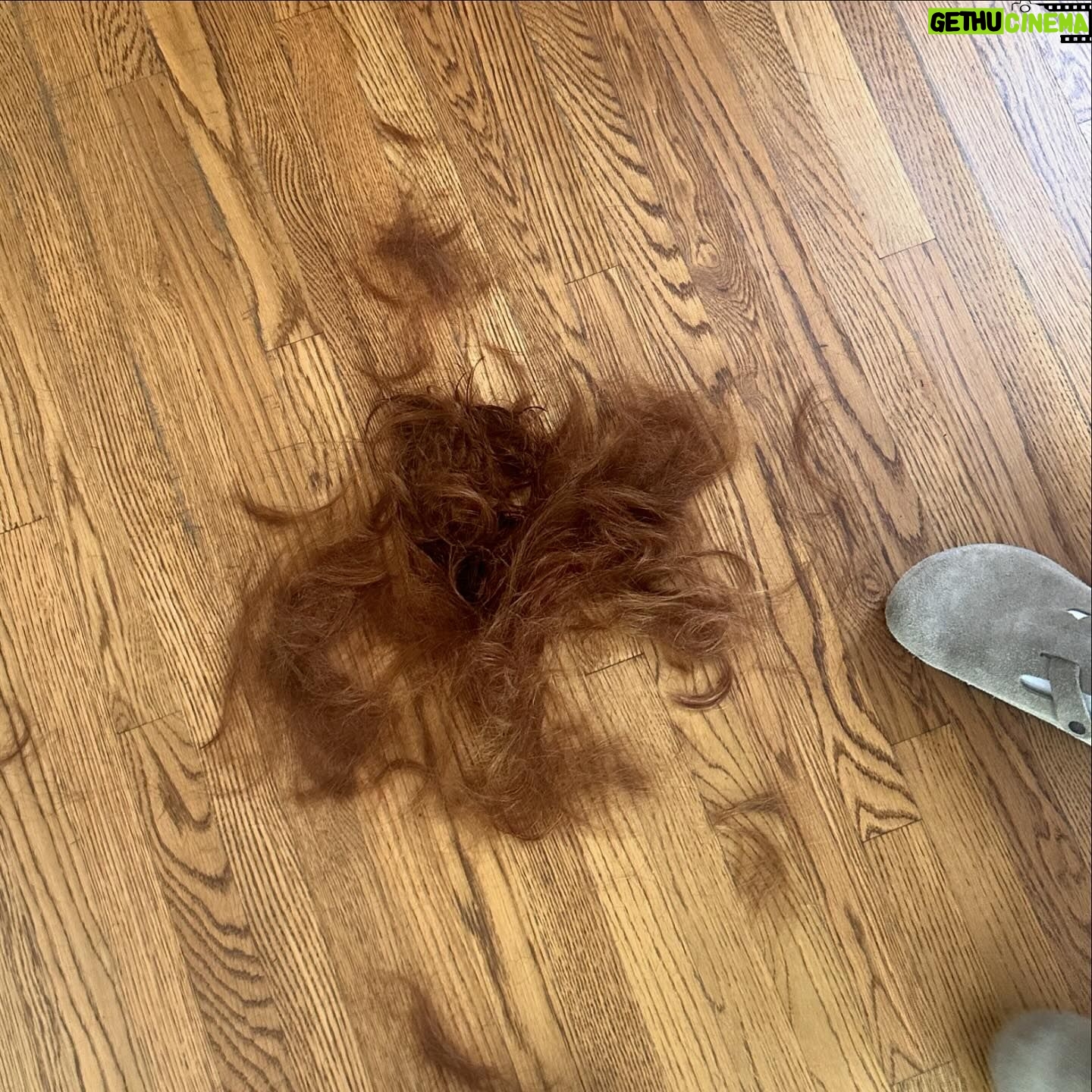 Madelaine Petsch - 2 Million Likes - oops chopped my hair off