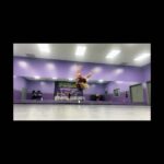 Maesi Caes