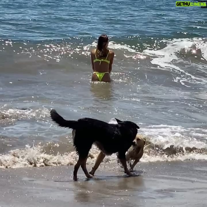 Maggie Q - 33K Likes - Happy Place. 🌊🐬🐳