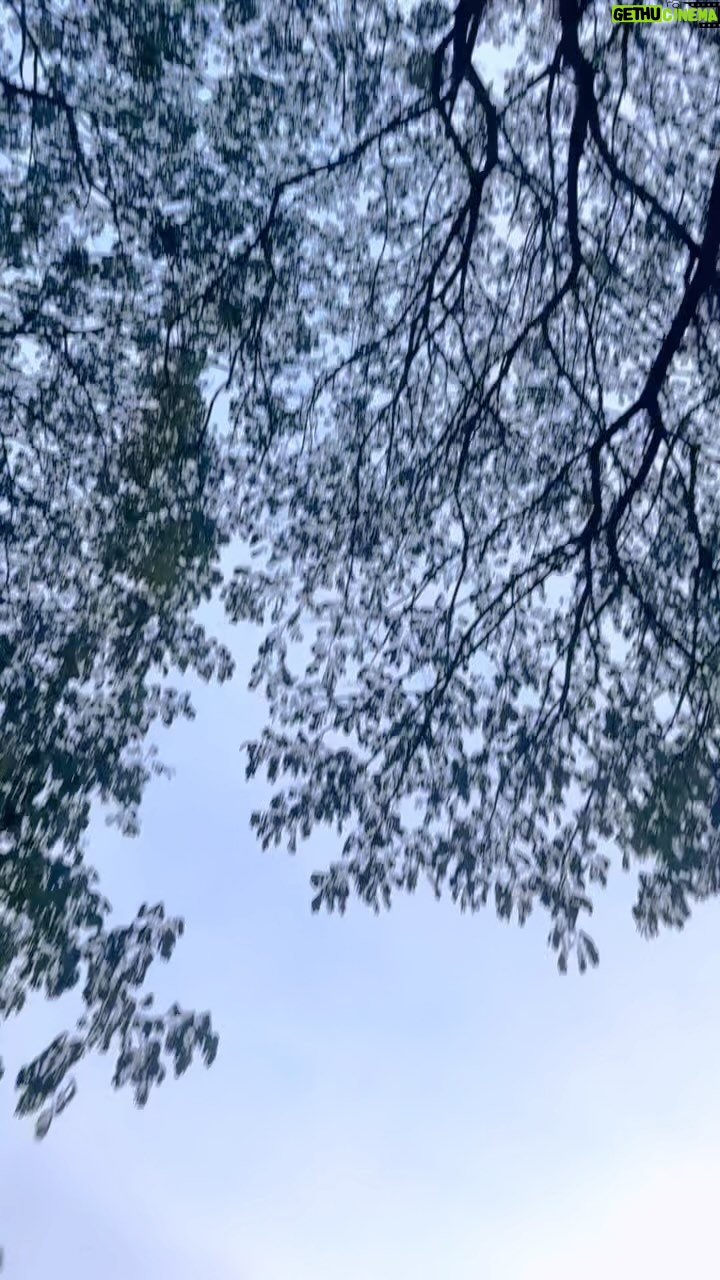 Mahesh Subramaniam - 679 Likes - Parakka Parakka 🕊🕊
.
.
.
.
.
.
.
#reelsinstagram #reels #trendingreels #thiruchitrambalam #dhanush #vijaytelevision #tamilsongs #tamilcinema #vijaytv #tamilserials #sunpictures #suntv #instagood #trending #dance #love #reelitfeelit #reelkarofeelkaro #instamood #salem #vijaykondattam #celebrity