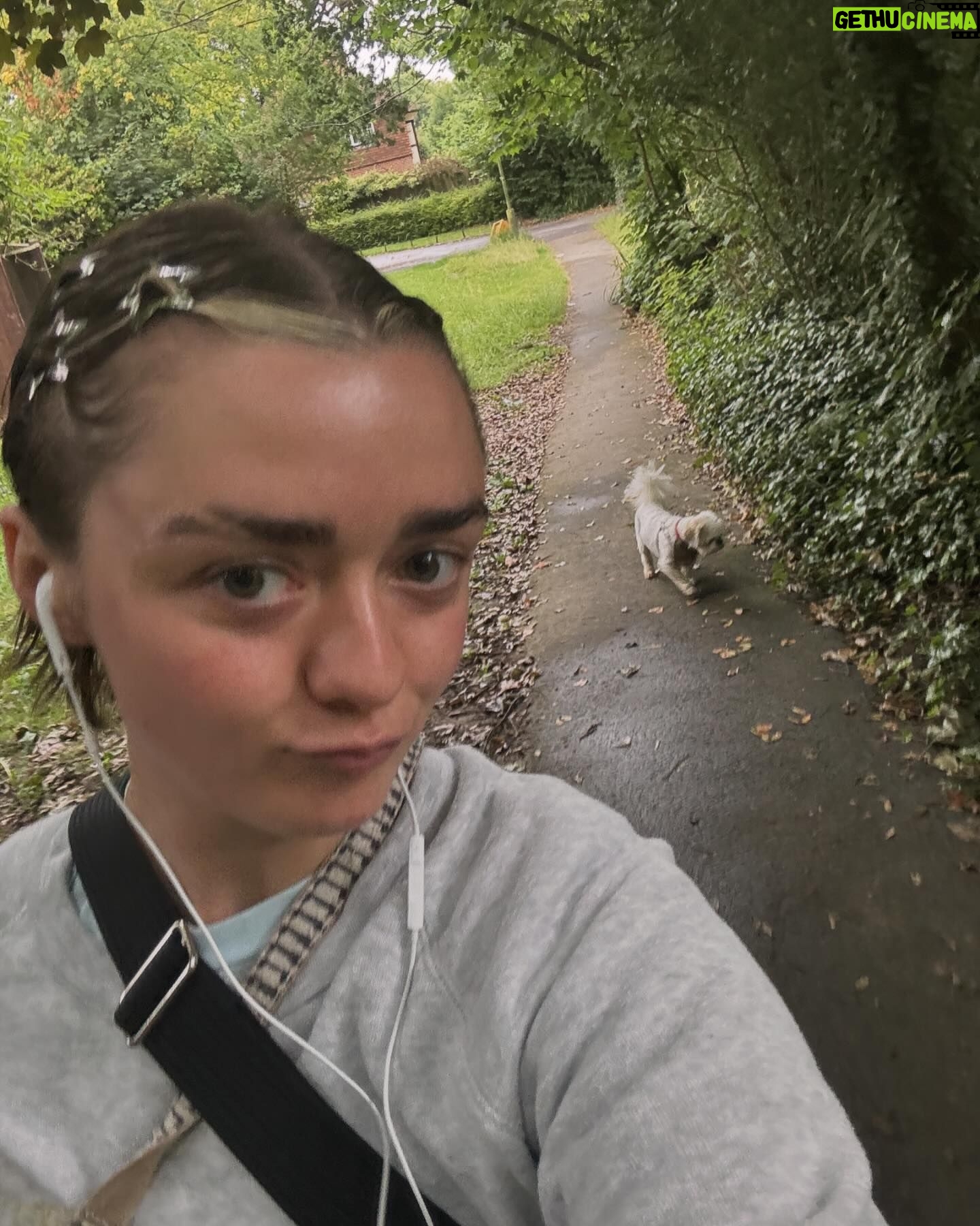 Maisie Williams - 323.4K Likes - a love triangle between me, my dog, and my @peachyden cardigan x