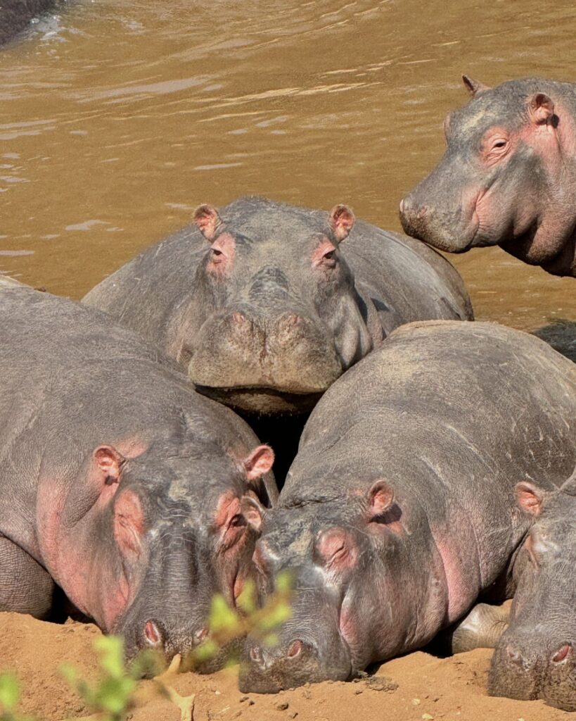 Actress Malhaar Rathod HD Instagram Photos and Wallpapers August 2024 ...