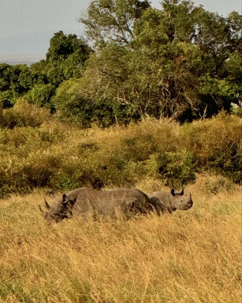 Actress Malhaar Rathod HD Instagram Photos and Wallpapers August 2024 ...
