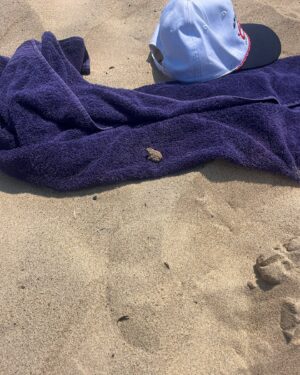 Malina Weissman Instagram - NO MEN! Do not touch the towels!