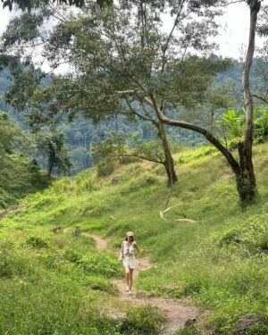 Manasaporn Chanchalerm Instagram - อัลบั้มติดเขียว🌳 เป็นไงล่ะ 
#เขาช่องลมยาดมต้องเข้า 🤤