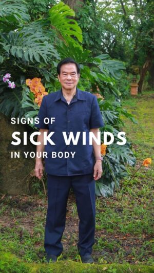 Mantak Chia Instagram - Do you have sick winds in your body?💨
⠀
In Tao, strong inner and outer energies and forces can affect people in positive and negative ways.
⠀
These phenomena we call “winds”💭
⠀
Wind is Qi that can enter from outside the body or can arise inside the body. Winds can enter and exit through the navel, the back of the head, the forearms, and the lower legs🌀
⠀
They circulate inside your body, affecting your health and emotional life: good wind is useful and healing, it stands for the flowing energy, the Qi.✨
⠀
Unhealthy, abnormal, and foul winds are pathological and perverse. The ancient Taoists called them evil or sick winds🌪️
⠀
These winds become trapped as toxins, blockages, and energy that can’t move🚫
⠀
When expelled, the sick winds carry toxicity out of the body.
⠀
👉They often exit the body as flatulence, a burp, a yawn, or a pop in a joint.
⠀
Sick winds can manifest as hiccups, wandering pain, itching, fevers, pain in the joints, heaviness, cramps, headaches, vertigo.
⠀
Taoist Abdominal Massage Chi Nei Tsang is an extremely effective method of releasing trapped wind through precise techniques and flushing out deposited toxins☯️
⠀
🕊️If you want to learn how to release energy blockages and restore organ health through physical touch, we are glad to welcome you at Master Mantak Chia’s LIVE Chi Nei Tsang workshops this August.
⠀
Join ONLINE or ON-SITE in Tao Garden, Thailand 🇹🇭
⠀
In CNT II, students learn about the Ten Winds, how to chase and discharge them from the body and how to inject good Qi back into the vital organs and glands.
⠀
Check the schedule for LIVE CNT workshops by Master Chia this August👇
⠀
🌀Week 6: 9 - 13 August: Chi Nei Tsang II Chasing the winds
⠀
🌀Week 7: 16 - 18 August: Chi Nei Tsang Ill Tok Sen
⠀
We recommend a prior knowledge of CNT I before you start any other level of CNT❣️
⠀
If you haven’t done Chi Nei Tsang I, but you want to learn these healing techniques, you can join Master Chia’s training online LIVE and get CNT I by recording with lifetime access✅
⠀
These ancient formulas are taught by Master Chia once a year❤️‍🔥
⠀
💌Write the code word CNT here in the comments to get more information and book your place!