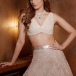 Manushi Chhillar