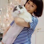 Mao Daichi