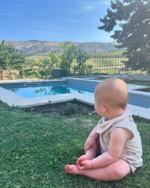 Maria Botelho Moniz Instagram - Douro de ouro. 🍇