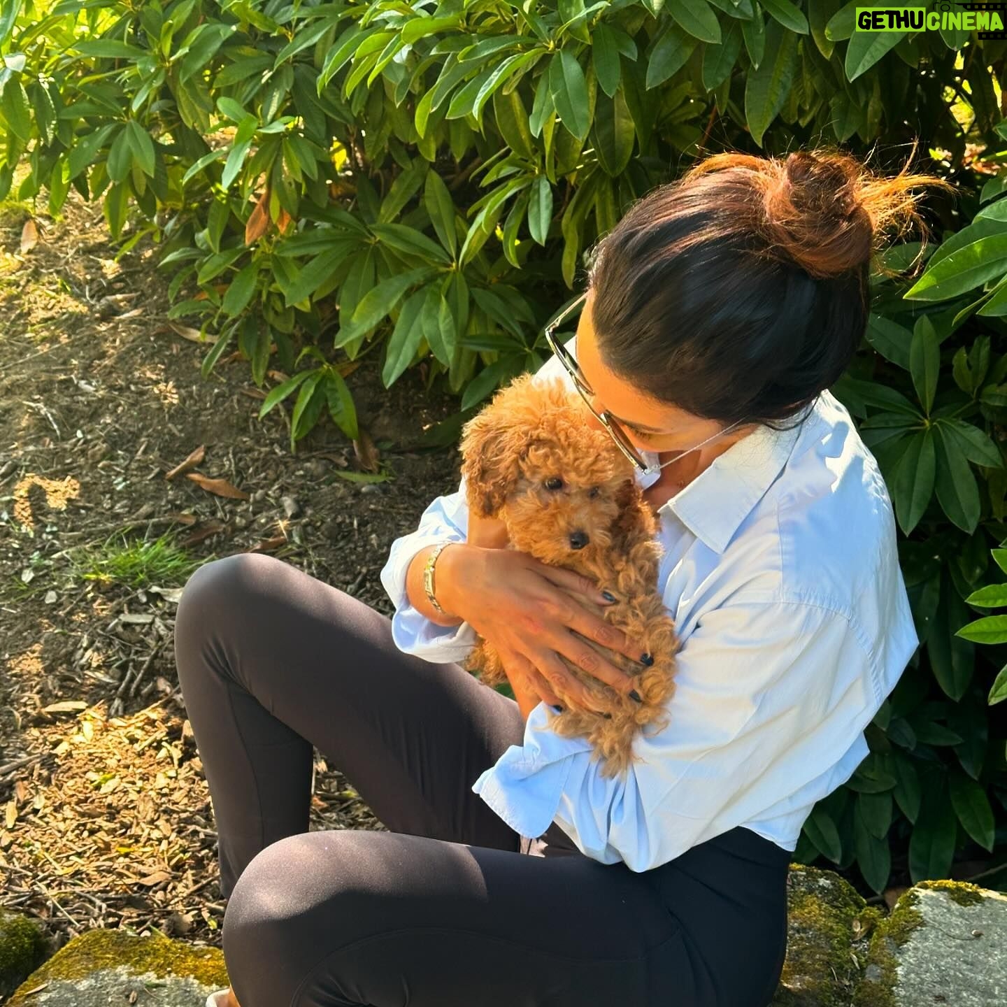 Maria Cerqueira Gomes - 16.8K Likes - ☀️day with 🐶!