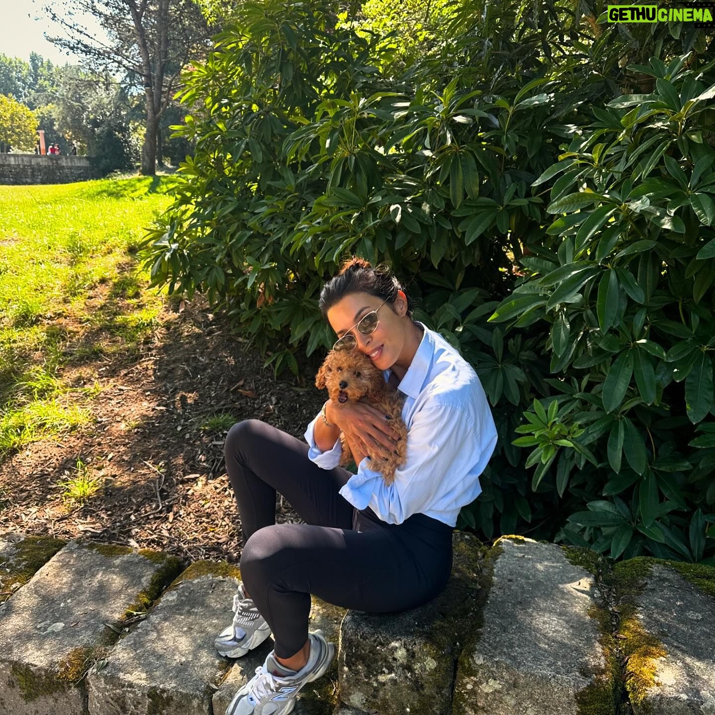 Maria Cerqueira Gomes - 16.8K Likes - ☀️day with 🐶!