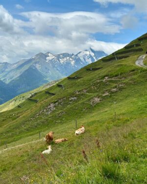 Mariana Prachařová Instagram - ten náš svět je NÁDHERNEJ🌎🇦🇹

#austria #visitaustria