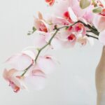 Marie Kondo
