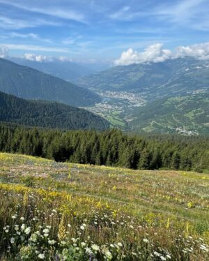 Marine Lorphelin Instagram - Weekend PARFAIT ⛰️🥰
Chamonix tu ne nous déçois jamais ! 

Trail, VTT, rando 💪🏽
Mais aussi super ambiance, bonne nourriture, apéros avec les copains Max & Laurianne et détente dans notre hôtel préféré @foliedoucehotelschamonix ! 

À très bientôt Cham, dans l’effervescence de l’UTMB 🤩

#chamonix #weekendfrance #montagne #lafoliedouce - invitation -