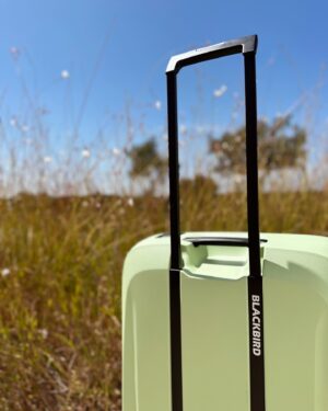 Marta Melro Instagram - Quando inspiras os últimos momentos,
 sem vontade de partir !🌾

#escape #nature #family #alentejo #petfriendly #blackbird #samsonite #mysamsonite 
@samsonite_pt @sobreiras_hotel @unlock_boutiquehotels