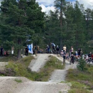 Martin Söderström Instagram - ”Please just one more lap?” ”Can I go ride after dinner” The kids in the park. I smile. Now they have started their own journey on two wheels ❤️