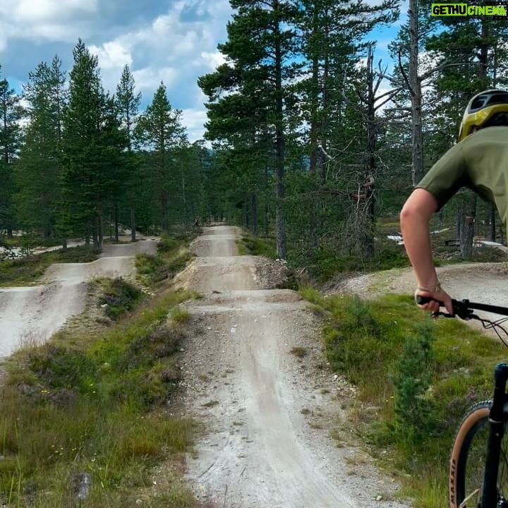 Martin Söderström - 4K Likes - ”Please just one more lap?” ”Can I go ride after dinner” The kids in the park. I smile. Now they have started their own journey on two wheels ❤️