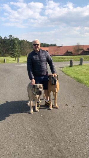 Martin Zounar Instagram - No ta třeba s Ženou😂😂😂👍🐕🐕 #onlinepsipskola #veronikaakimerlin #sepsypodleveroniky #vychovapsa #vycvikpsa #pejskar #stenapsitrenertko #milujemepsy #laskanacelyzivot #laskakepsum #propejskare #psipsycholog #psiskola # #pozitivka #pespritelcloveka #psitrenink #treninkpsu #trenerpsu #Celebrity #MartinZounproblemysepsem #pozitivnimetody #stene #vychovastenete #pes #psy #ar #Herec #CzechMan #CzechRepublic