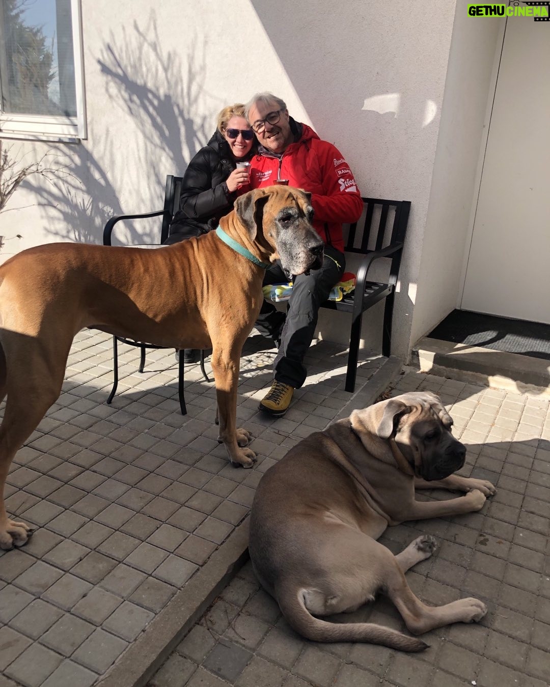Martin Zounar - 4.3K Likes - Krásnou neděli všem při dopolední kávě ☕️☕️🐕🐕