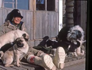 Masanori Hata Instagram - 中標津の自宅でのひとこま🐾冬のある日の日向ぼっこ🌞（いまもムツさん宅を訪ねると玄関にこの風景があるのでは？とおもってしまうことがあります）２枚目はこれが日常だった賑やか食卓🍜犬たち、猫たち、この人には何をしてもいい笑 とおもっていてムツさんのおかずを奪うこともしばしば😁
なんともそれが嬉しそうだったムツさんの笑い声を思い出します🐱 #はたまさのり #むつごろうさん #zoologist #writer #friendofanimals