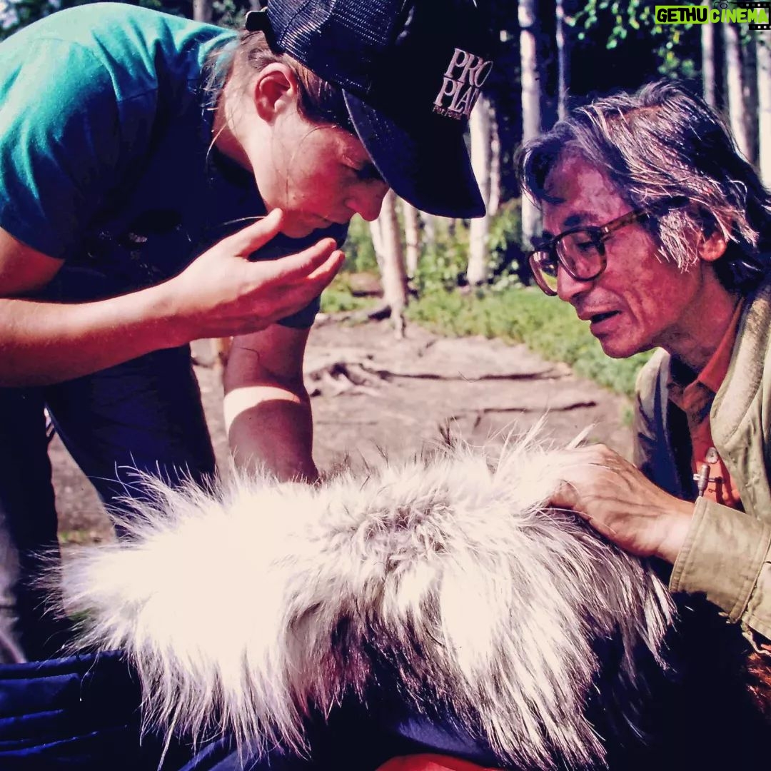 Masanori Hata - 5.4K Likes - 昨日104回 の656に登場したスーザンブッチャーさんとムツさん。アイディタロッドを走破したときの装備を見せていただきムツさん、うれしそうです😆そしてお話の最後に登場するスーザンと犬たちが遊びにでかける川も!アラスカの豊かな自然の中、暮らす犬たちです🐾#ムツゴロウの656 #はたまさのり #むつごろうさん #zoologist #writer #alaska