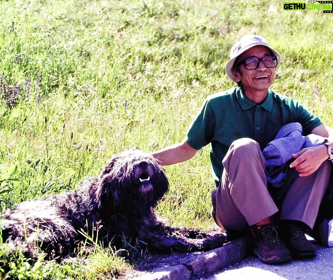 Masanori Hata - 4.4K Likes - イタリア北部で出会ったベルガマスコ🐾日々、羊を追い、そして守り、人とともに暮らしていました。モップのような毛はオオカミなどや攻撃から身を守ったともいいます。ムツさんともすぐに仲良くなってくれました。#ムツゴロウの656 #はたまさのり #むつごろうさん #zoologist #writer #italy #friendofanimals