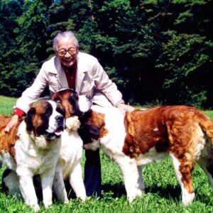 Masanori Hata Instagram - スイスを訪ねたムツさん、念願のセントバーナードたちに出会います。地元のセントバーナード協会会長さんから、昔はこうやって車を牽いていたんだよ、と貴重な写真を見せて もらいました🐾 でっかい犬もすぐにともだちです😆#ムツゴロウの656 #むつごろうさん  #はたまさのり #zoologist #friendofanimals #writer #bernard