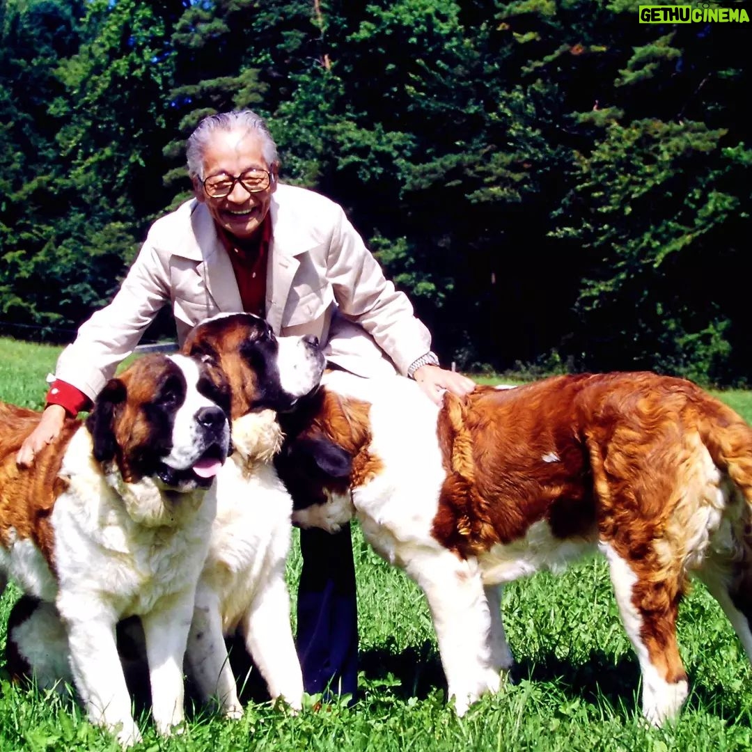 Masanori Hata - 7.6K Likes - ć¹ć¤ć¹ć訪ććć ććććåæµé”ć®ć»ć³ććć¼ćć¼ććć”ć«åŗä¼ćć¾ććå°å
ć®ć»ć³ććć¼ćć¼ćåä¼ä¼é·ćććććęćÆćććć£ć¦č»ćē½ćć¦ćććć ćććØč²“éćŖåēćč¦ć㦠ćććć¾ććš¾ ć§ć£ććē¬ćććć«ćØćć ć”ć§ćš#ć ćć“ćć¦ć®656 #ćć¤ććććć #ćÆćć¾ćć®ć #zoologist #friendofanimals #writer #bernard