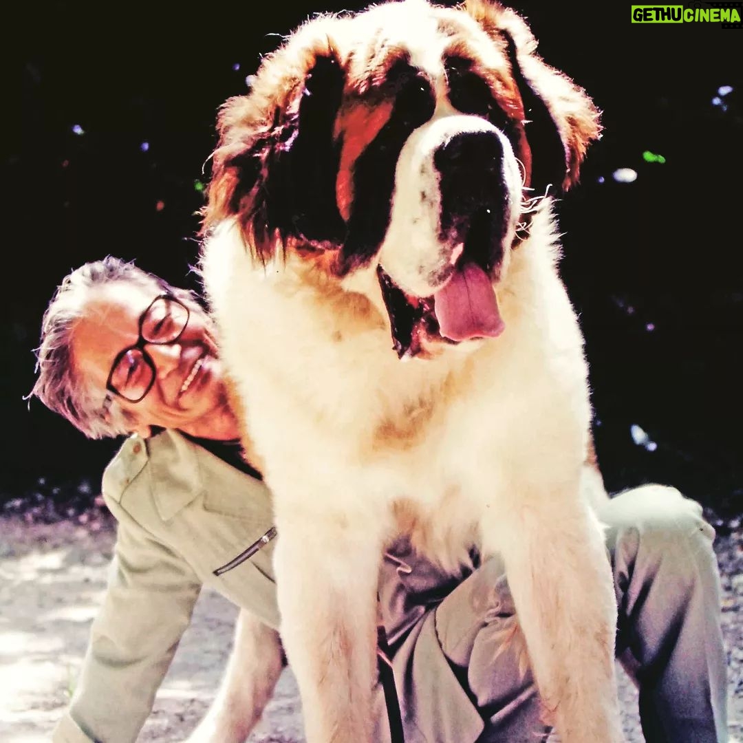 Masanori Hata - 5.1K Likes - イタリアで出会った大きな友だち🐾ムツさんと顔の大きさを比べてみてください😆 2人はすぐに仲良しに😄🍀#ムツゴロウの656 #はたまさのり #むつごろうさん #zoologist #writer #friendofanimals #doglover